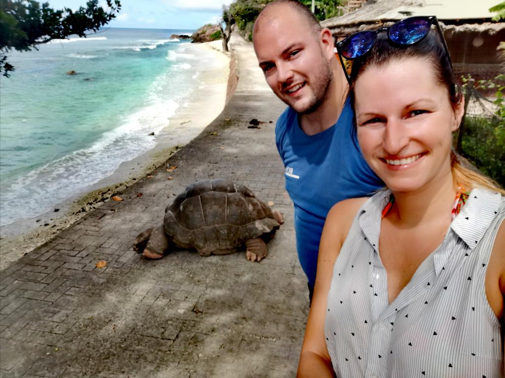 Riesenschildkröte auf La Digue