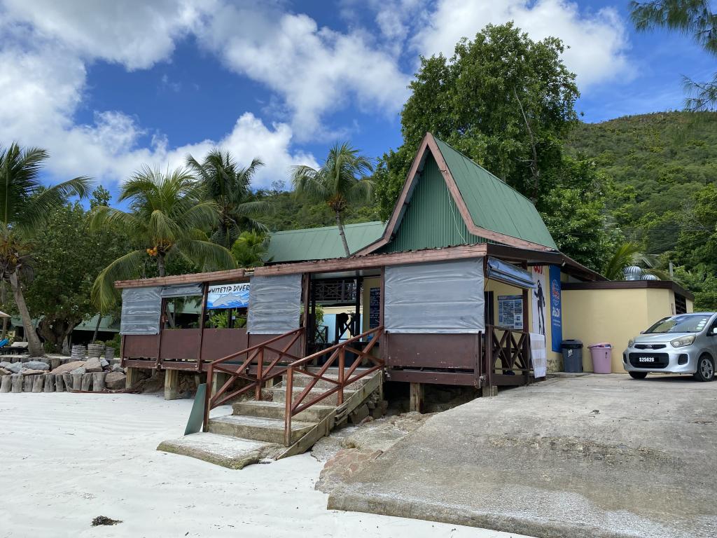 Whitetip Divers Praslin