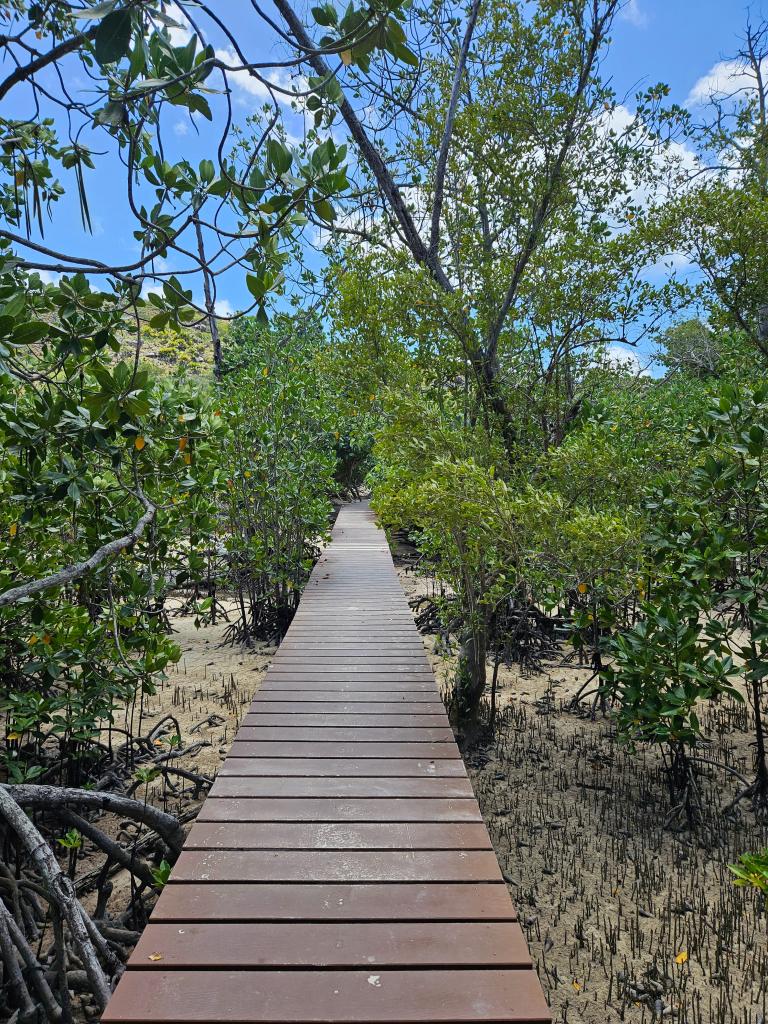 Wanderweg auf Curieuse