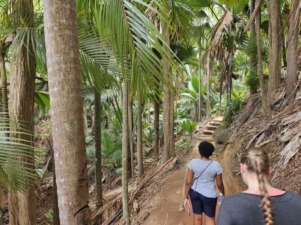 Fond Ferdinand, Praslin