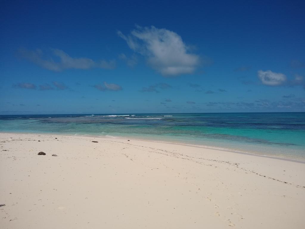 Einsamer Strand auf Bird Island