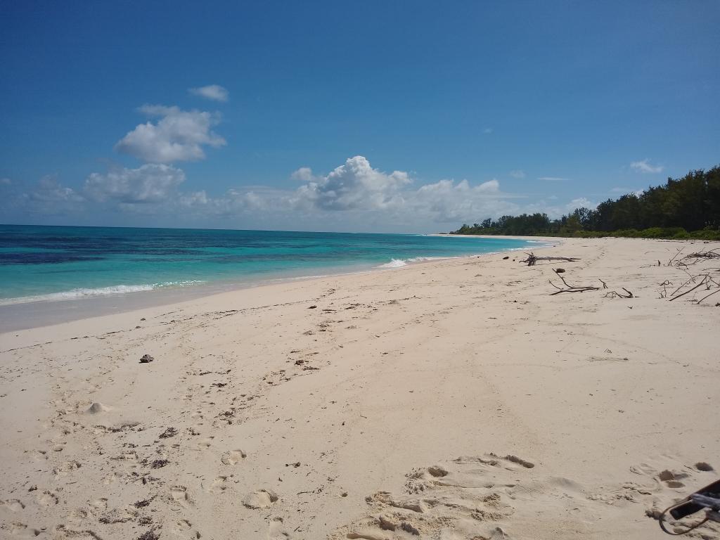 Bird Island Beach