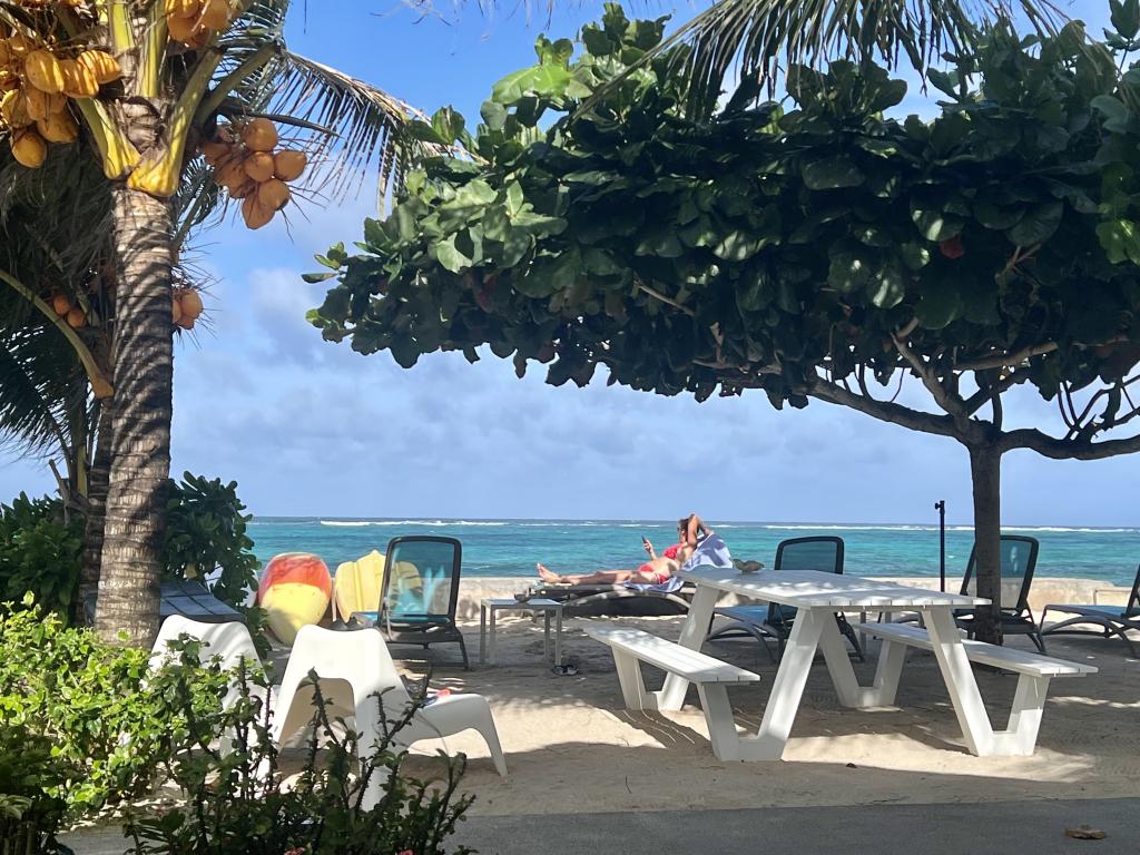 Strandblick im Le Nautique