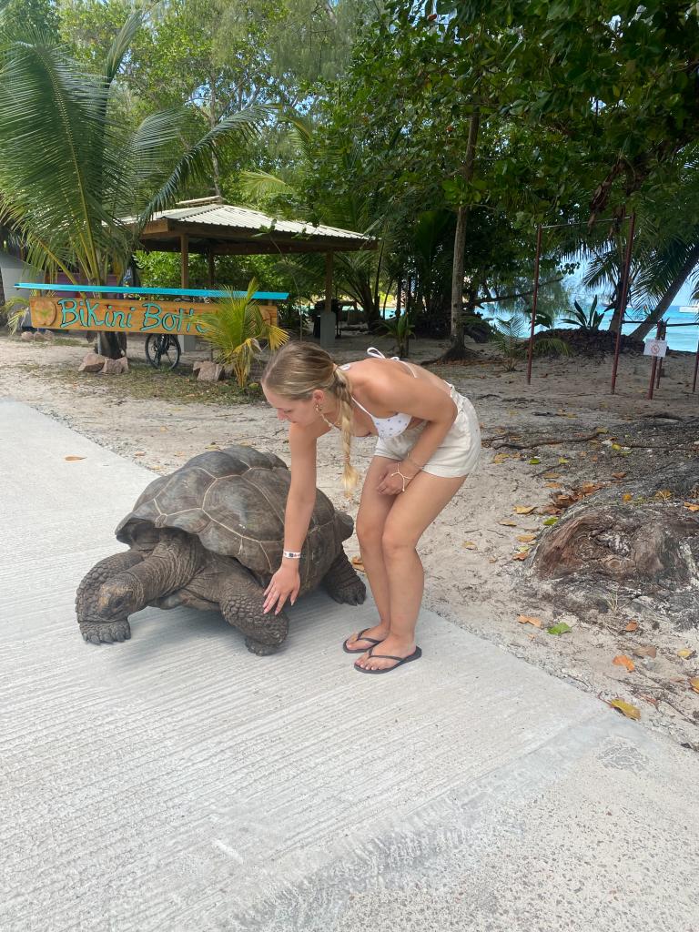 Riesenschildkröte an der Anse Severe