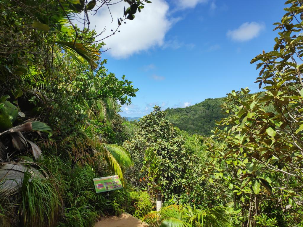 Aussichtspunkt im Vallée de Mai