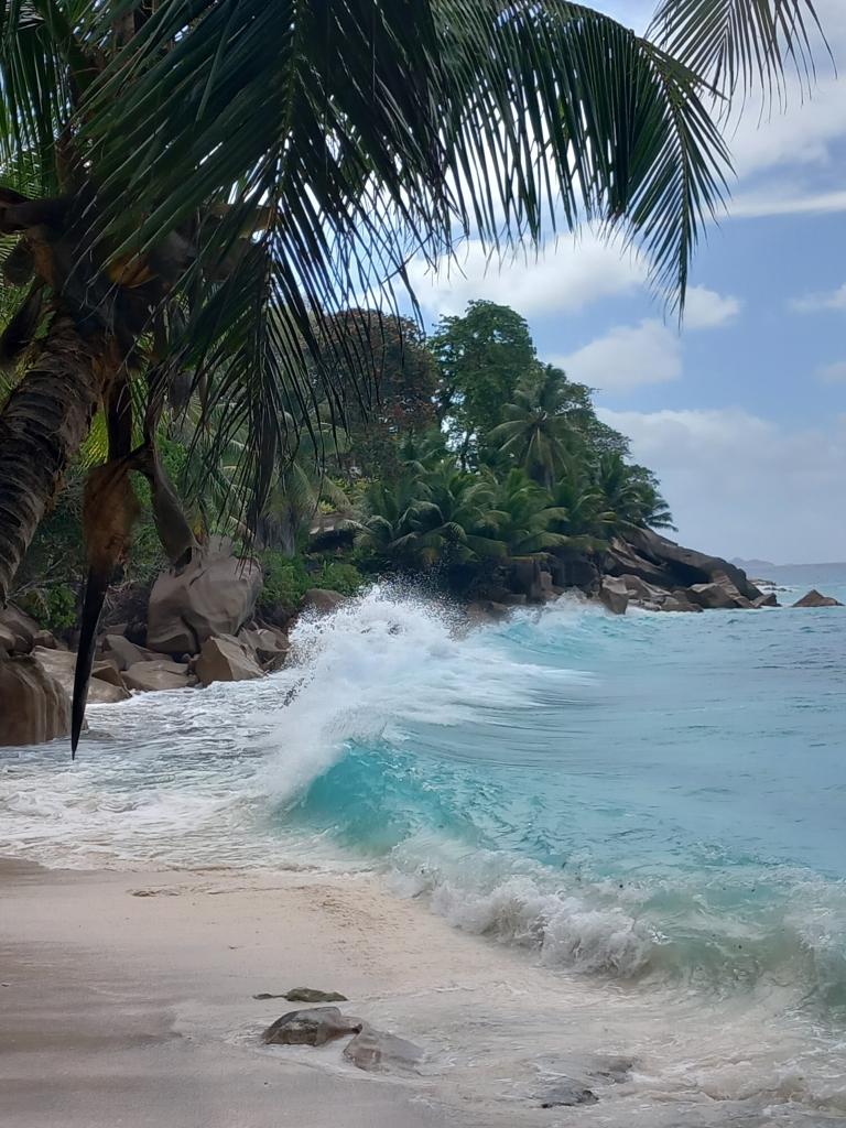 Anse Patates, La Digue