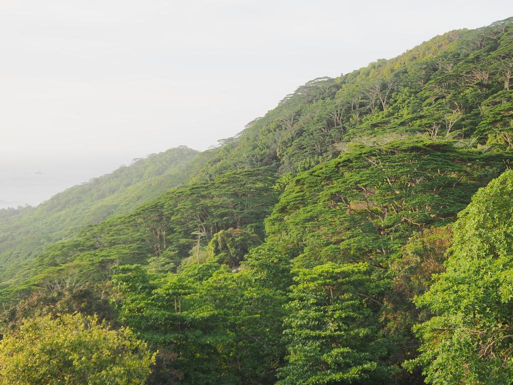 Belle Vue, La Digue