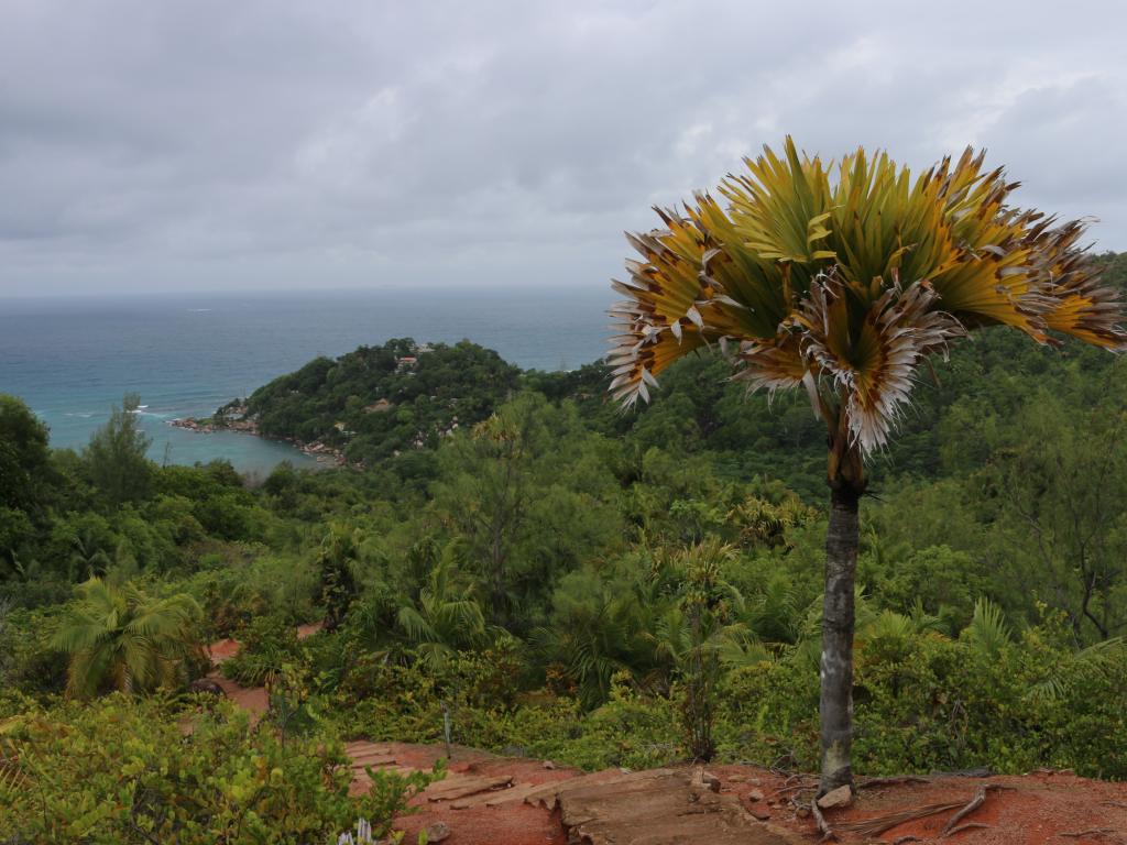 Fond Ferdinand, Praslin