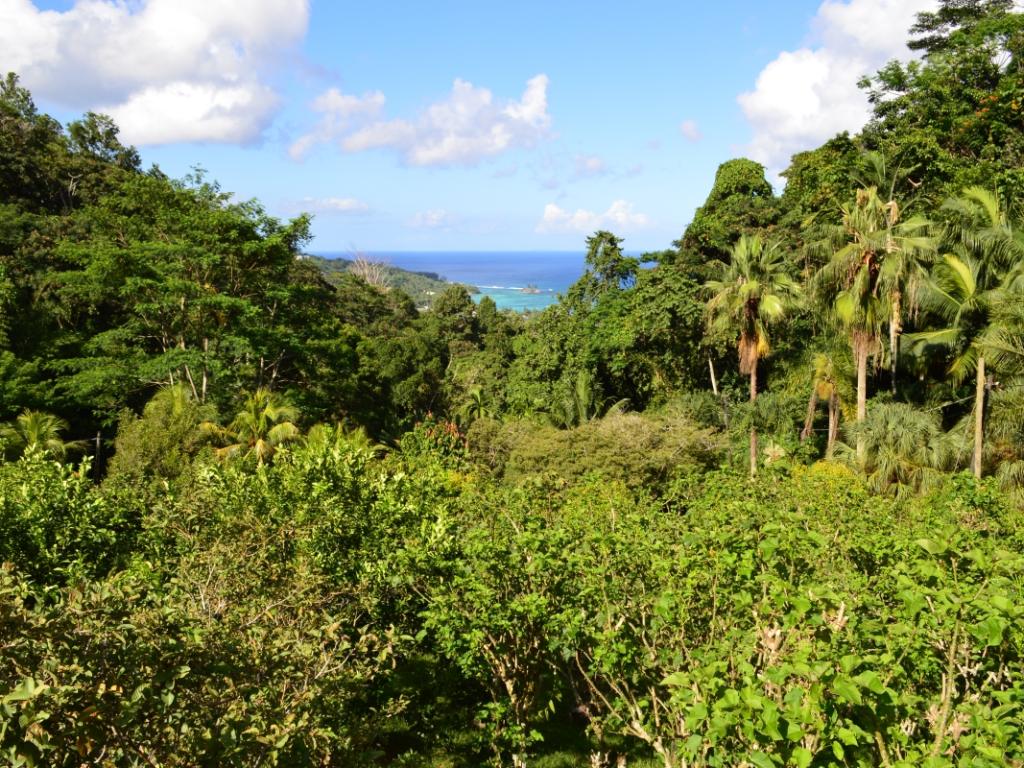 Mahé, Jardin Du Roi Spice Garden