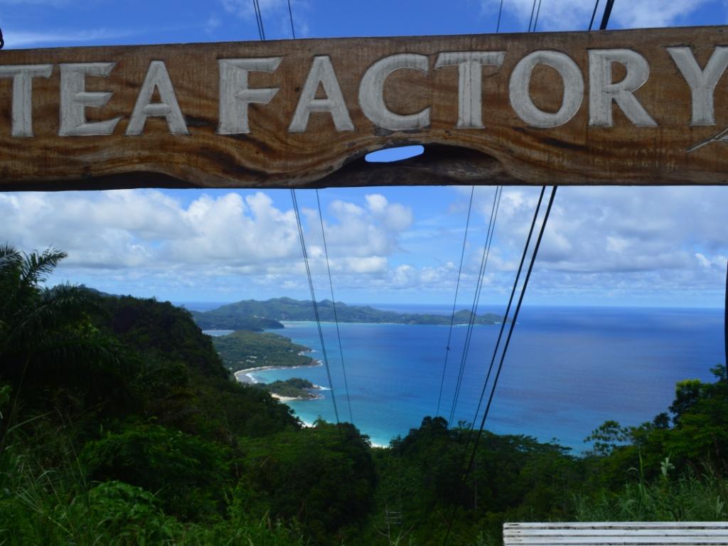 Mahé, Tea Factory