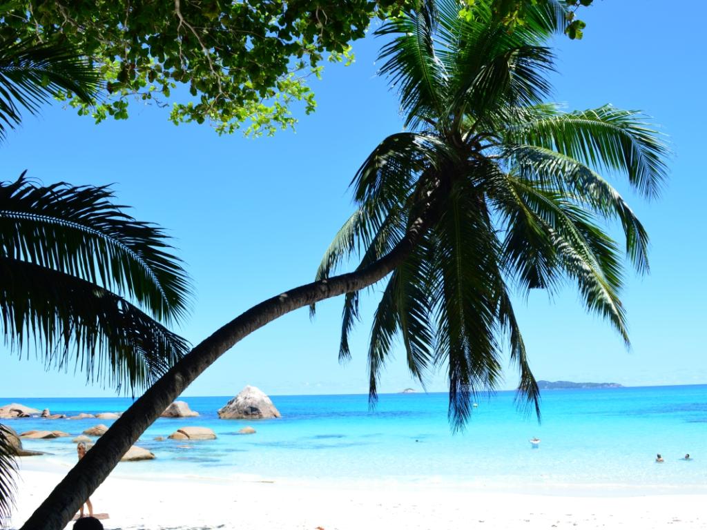 Praslin, Anse Lazio