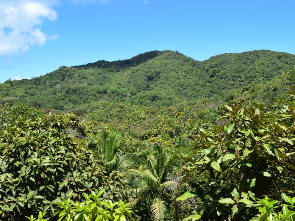 Praslin, National Park