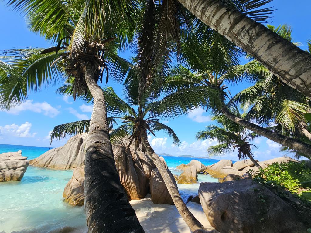 Anse Patates, La Digue