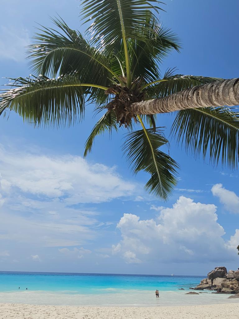 Anse Georgette, Praslin