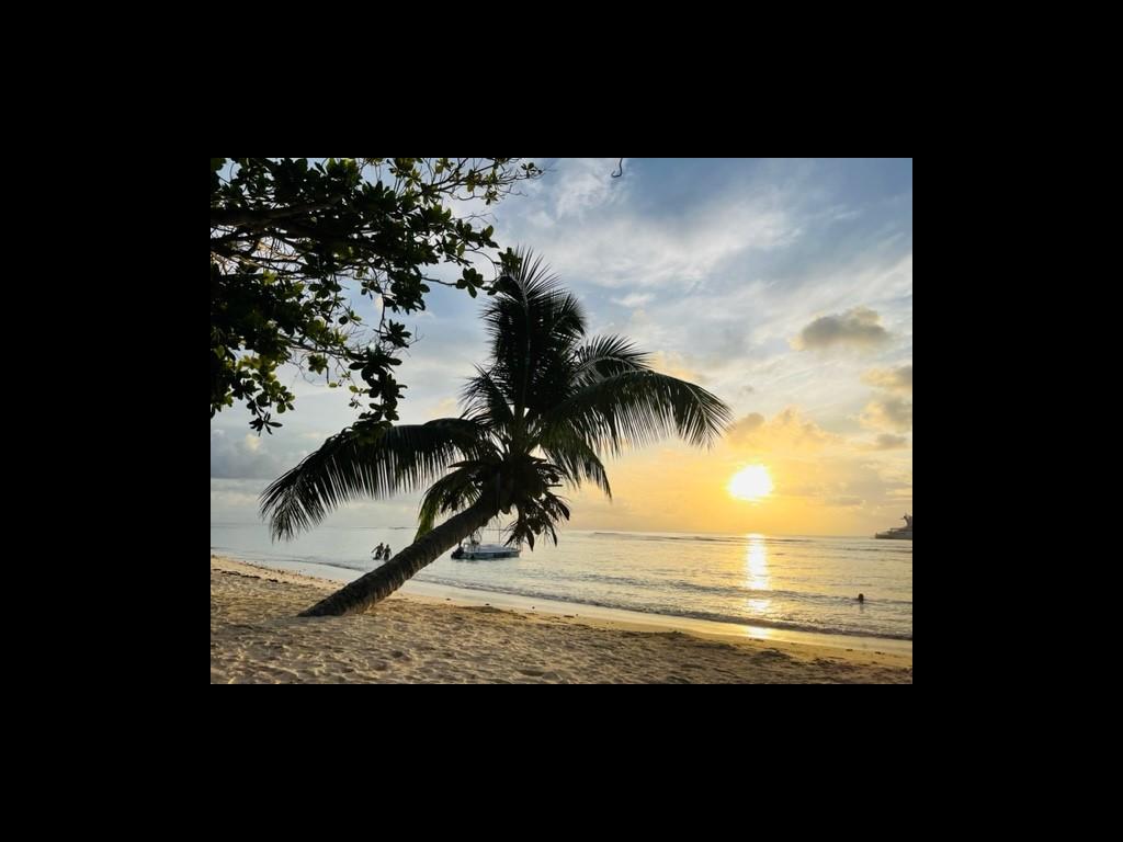 Anse Lazio, Praslin