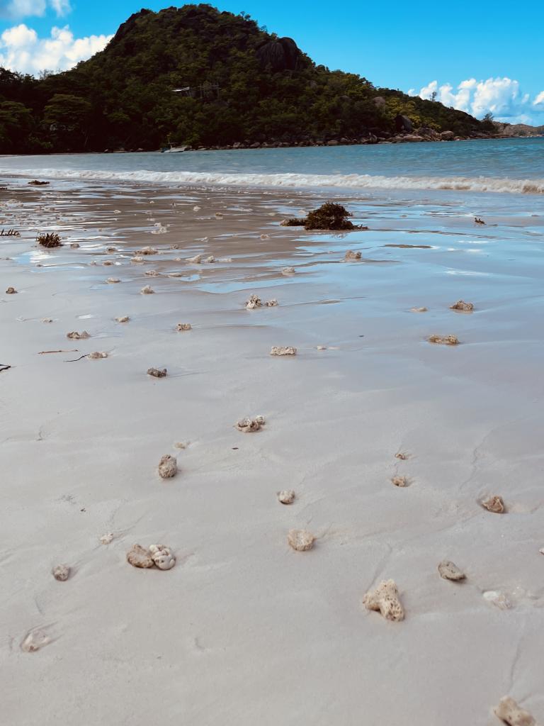 Cote d'Or auf Praslin