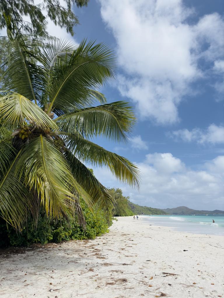 Cote d'Or auf Praslin