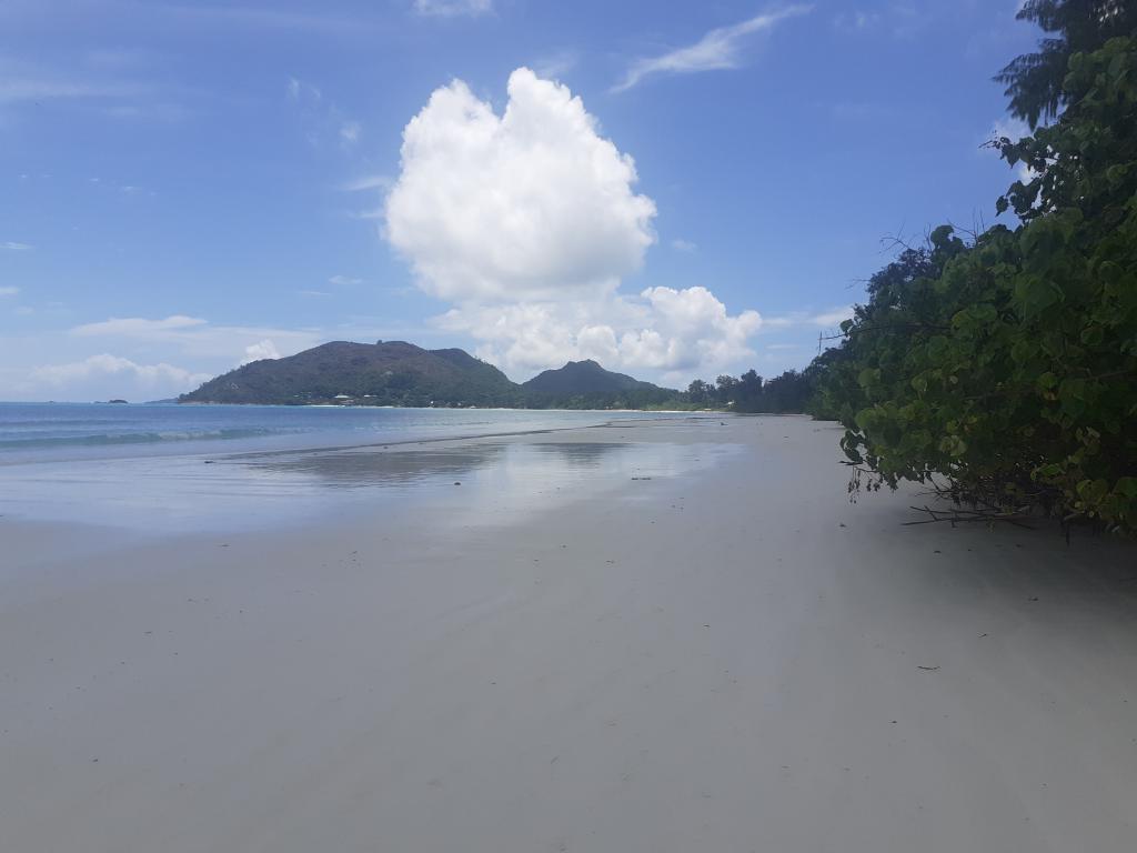 Cote d'Or auf Praslin