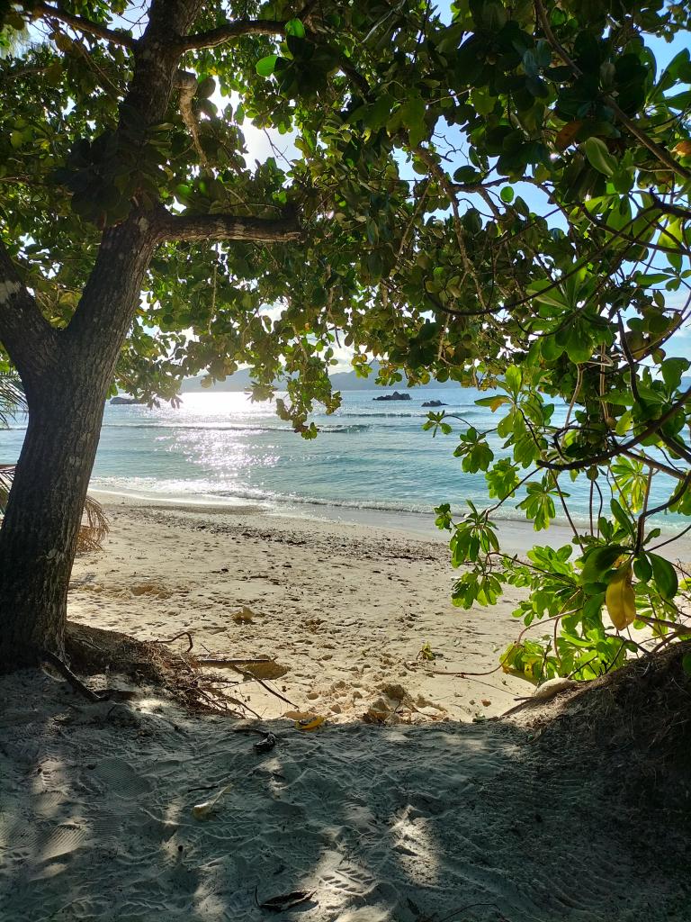 Anse Severe, La Digue