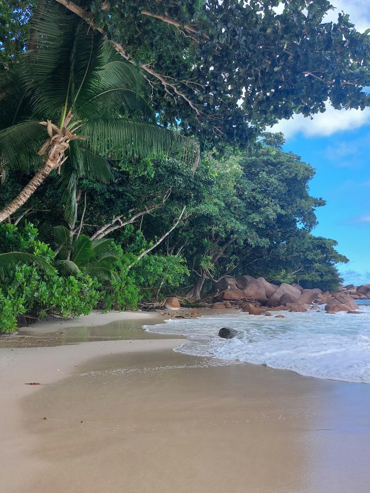 Anse Lazio, Praslin