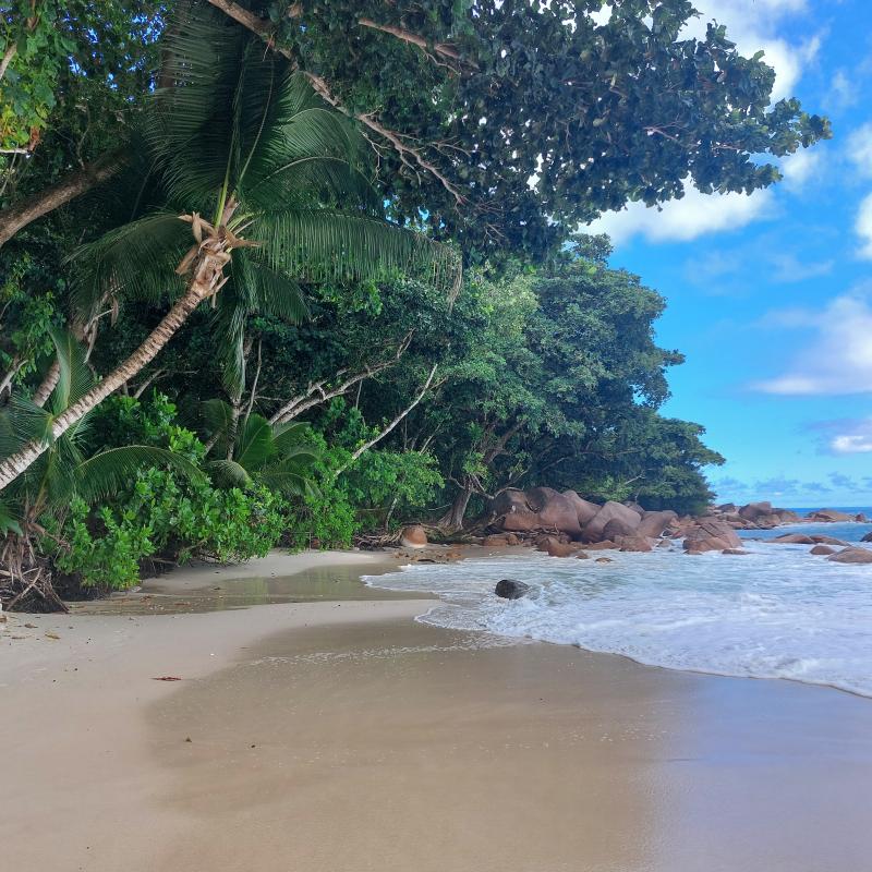 Anse Lazio, Praslin