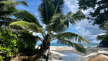 Anse Georgette, Praslin