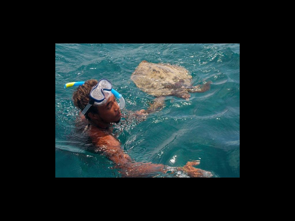 Schnorcheln auf La Digue