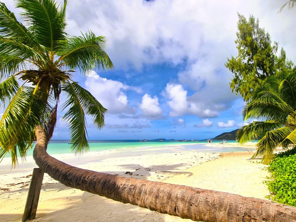 Anse Volbert, Praslin