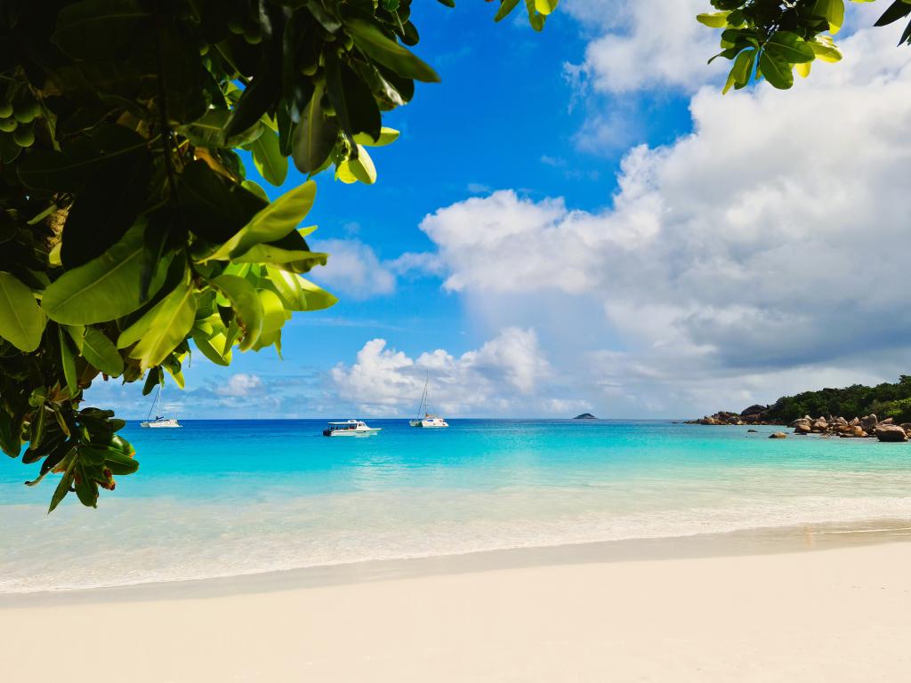 Anse Lazio, Praslin