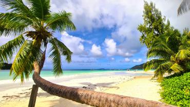 Anse Volbert, Praslin