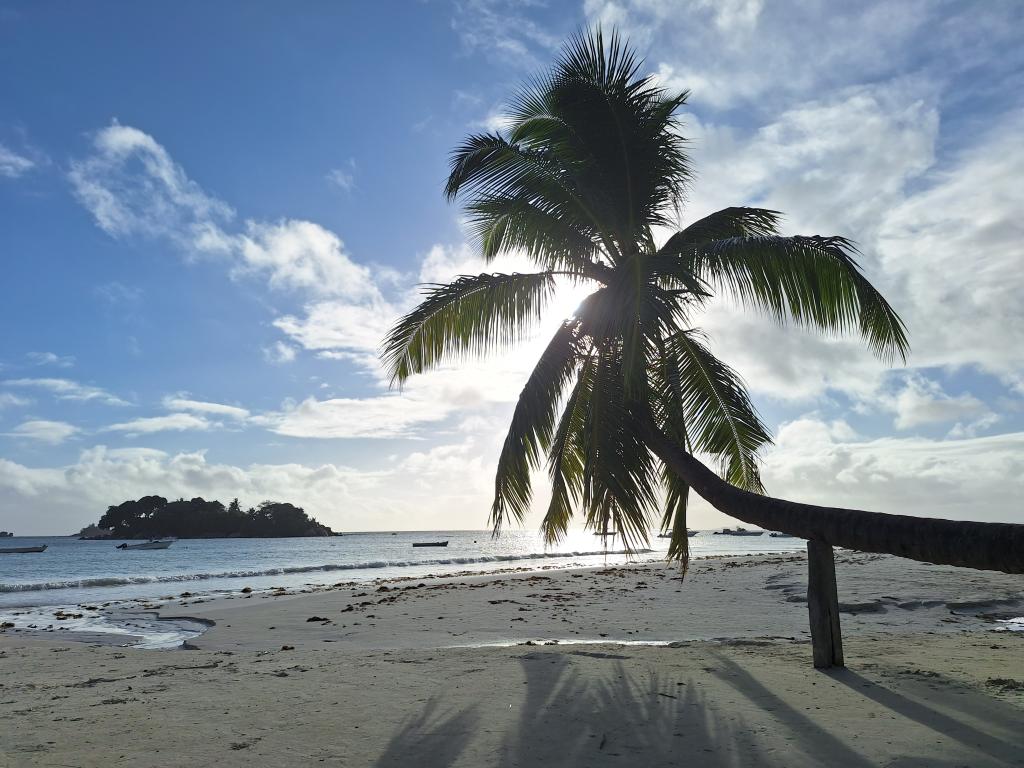 Anse Volbert, Praslin