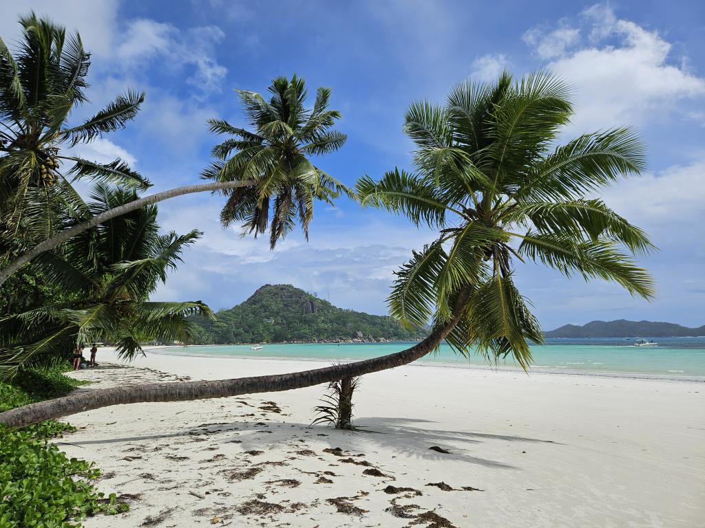 Anse Volbert, Praslin