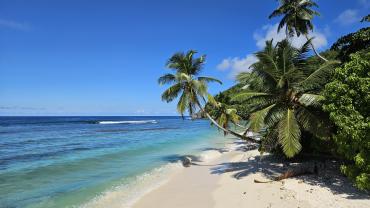 Anse Parnel, Mahé