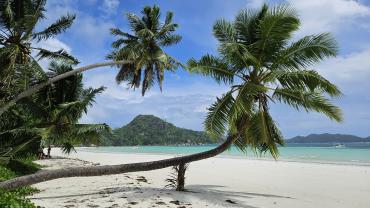 Anse Volbert, Praslin