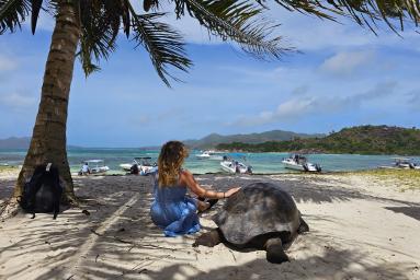 Seychellen-Traum: 14 Tage im Paradies