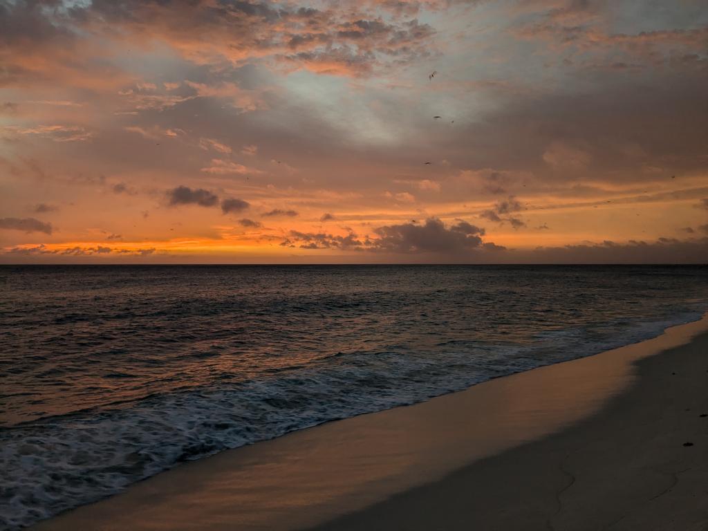 Sonnenuntergang auf Bird Island