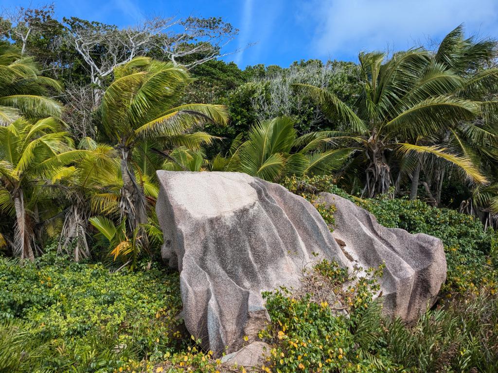 Auf dem Weg zur Anse Marron