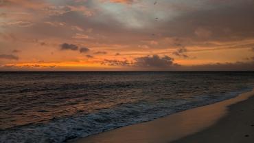 Sonnenuntergang auf Bird Island