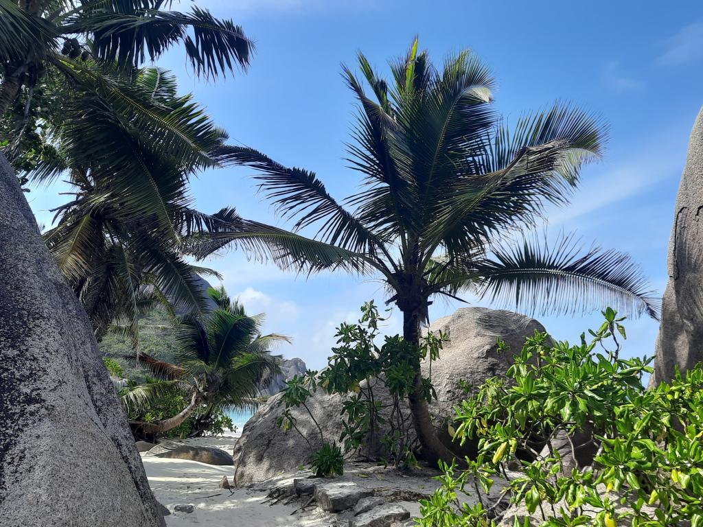 Anse Source d’Argent, La Digue