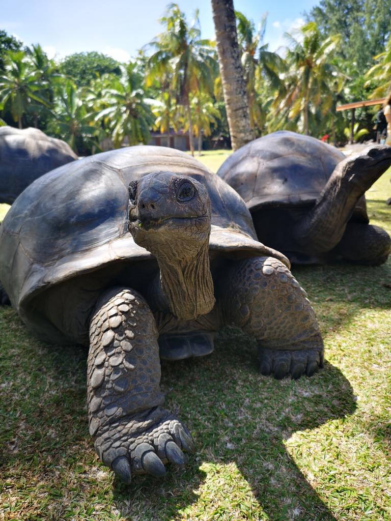 Praslin, Curieuse Marine National Park