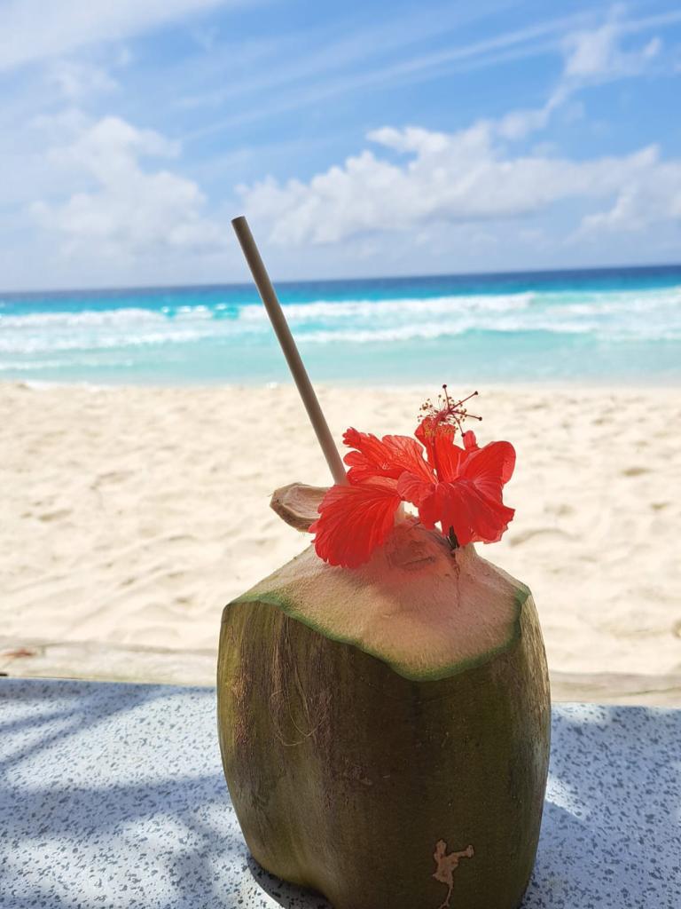 Eine frische Kokosnuss am Strand