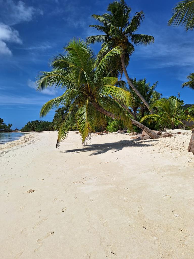 La Digue, Anse Reunion