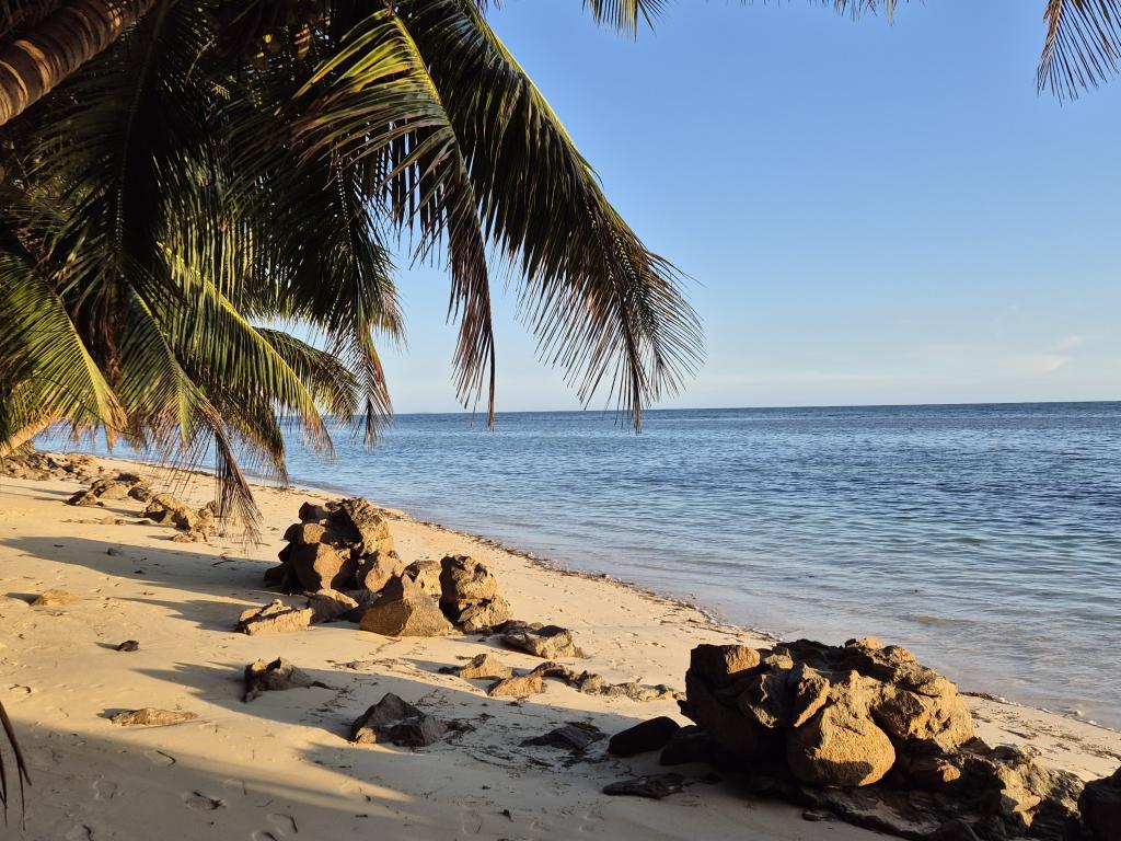 Anse Grosse Roche, Praslin