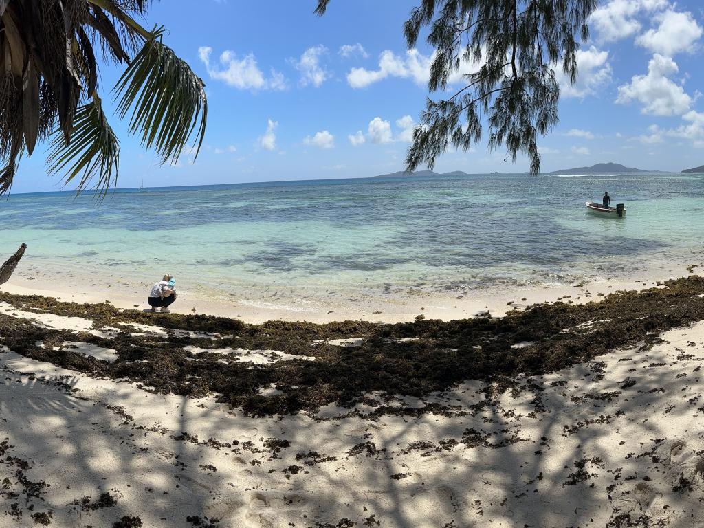 Anse La Blague, Praslin