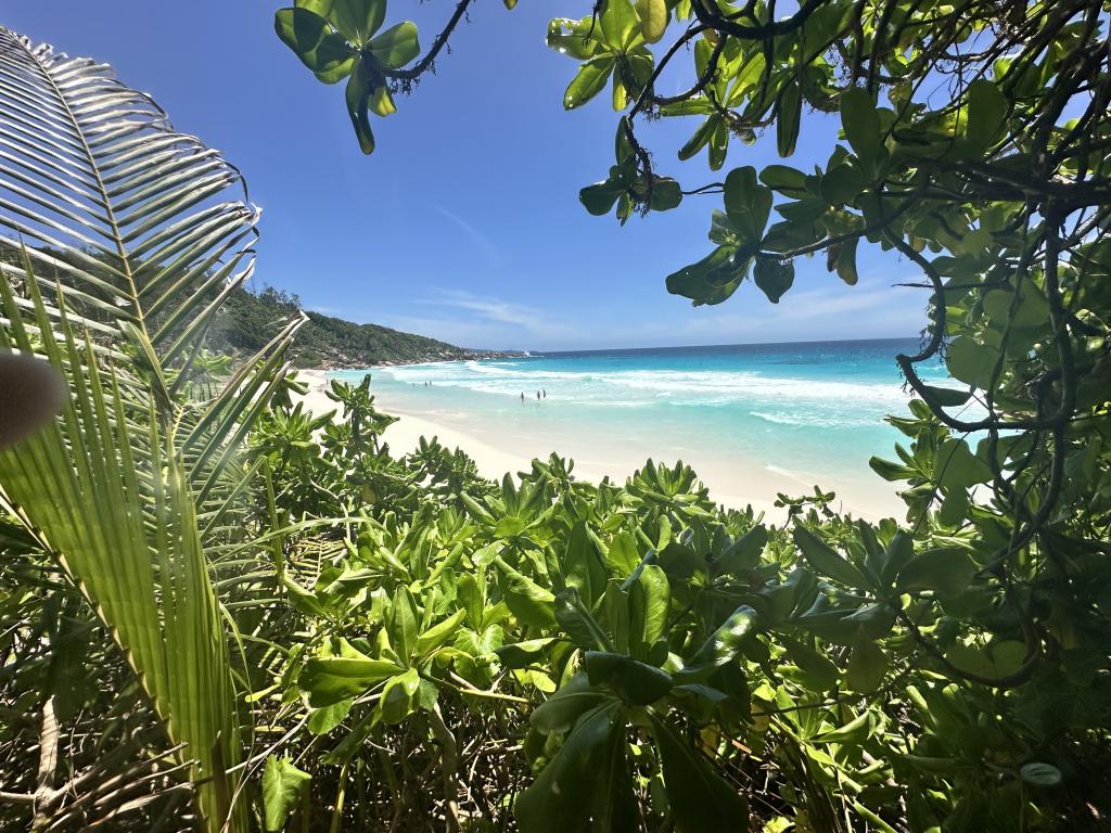 Blick auf die Petite Anse