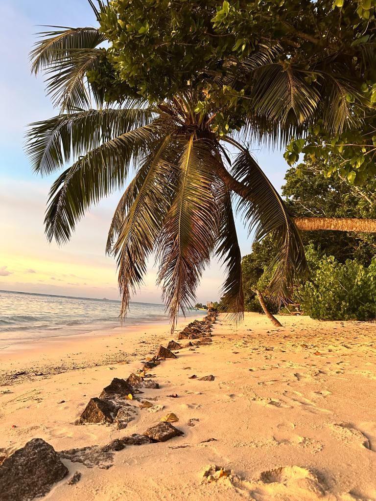 Sonnenuntergang auf La Digue