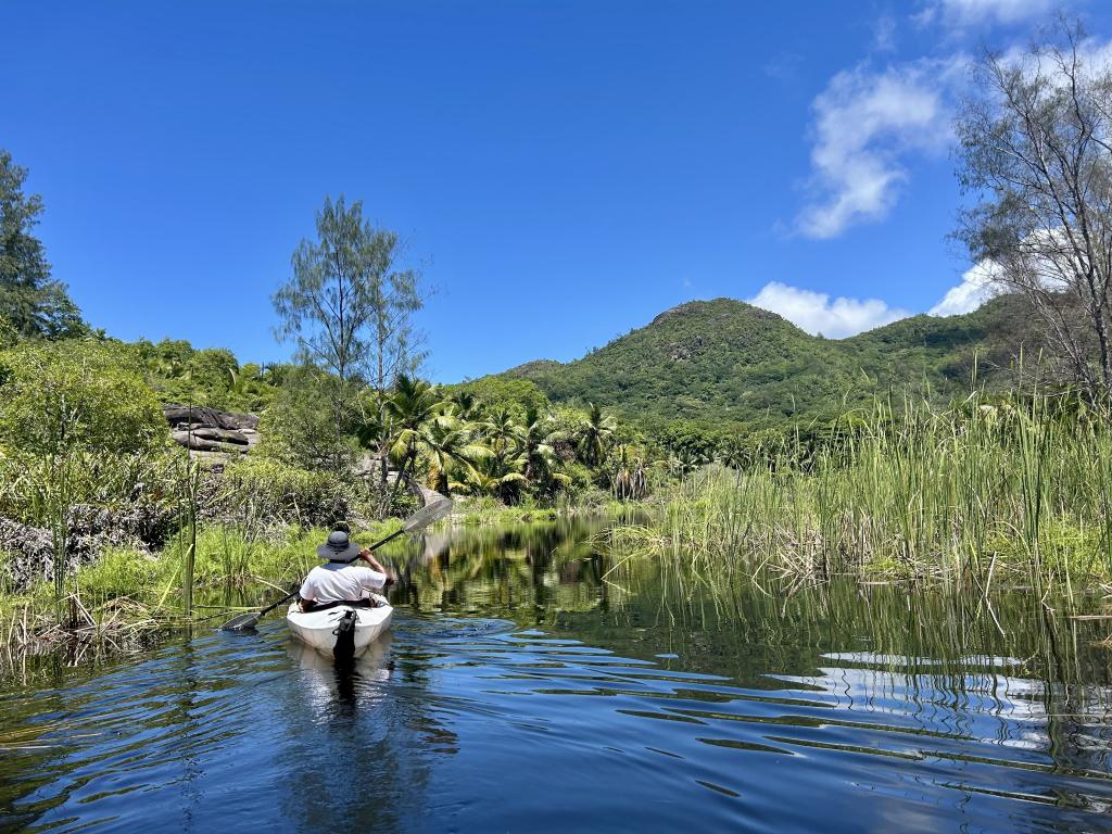 Kayaktour