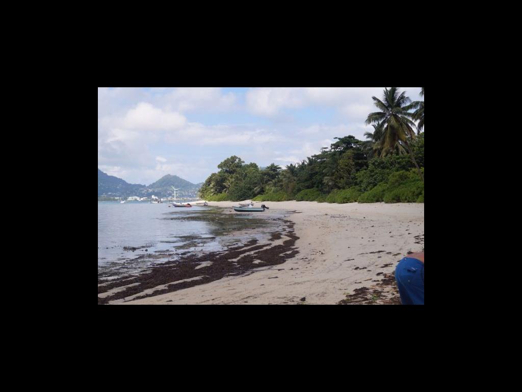 La Digue Strand