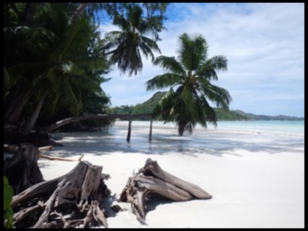 Cote d’Or Strand Praslin