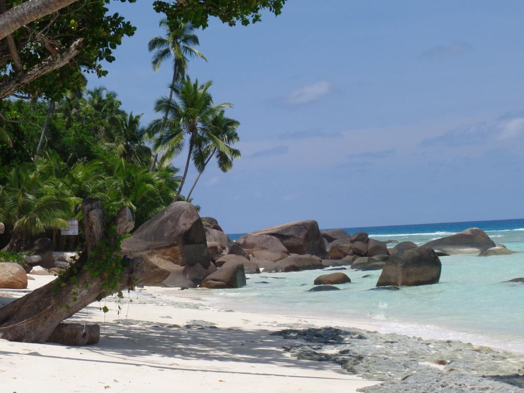 Strand auf Silhouette